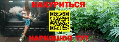 индика Краснознаменск