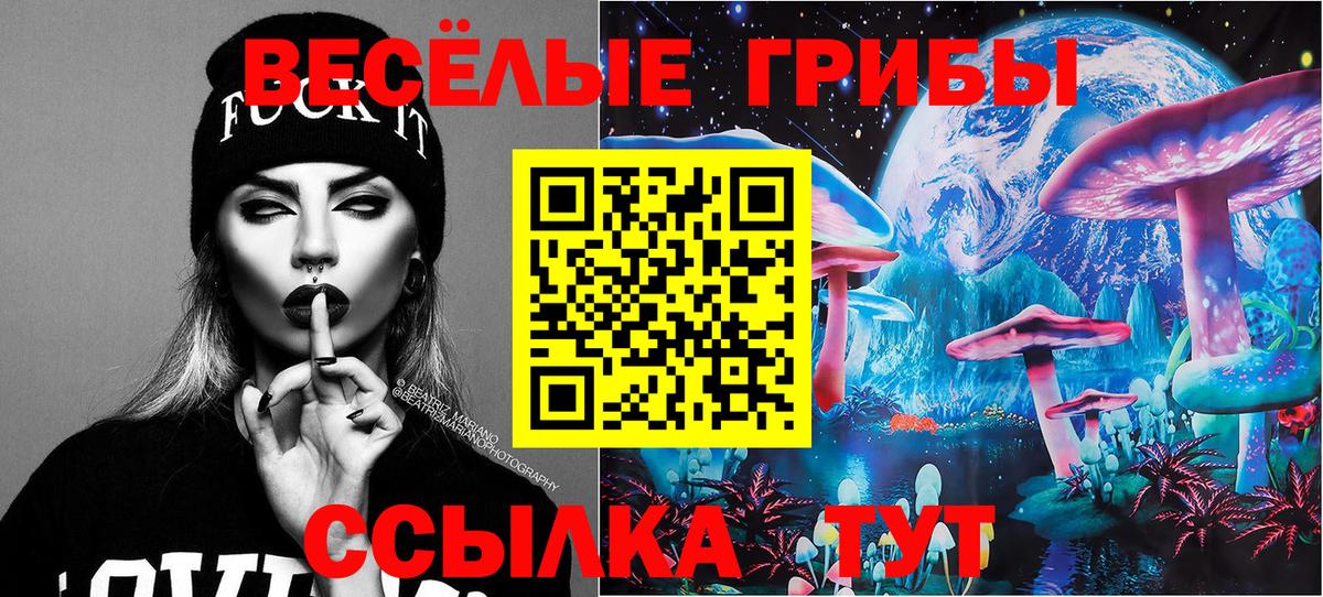 Галлюциногенные грибы MAGIC MUSHROOMS  Вход с VPN  Ишим 