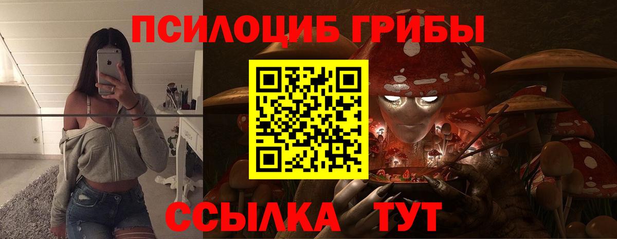 Галлюциногенные грибы прущие грибы Ишим